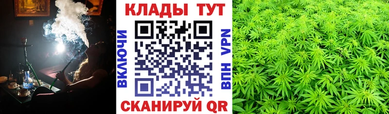 Купить закладку Кокаин  Мефедрон  Alpha-PVP  АМФ  Гашиш  Железногорск
