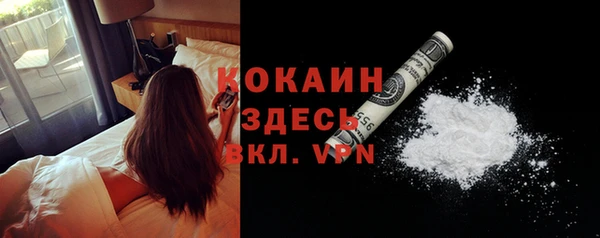гидропоника Каменка