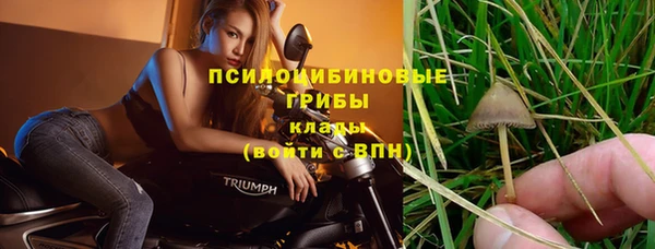 шишки Карталы