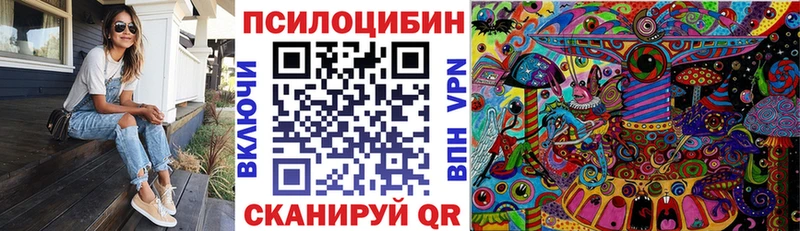 Псилоцибиновые грибы MAGIC MUSHROOMS  Купить закладки  Железногорск 